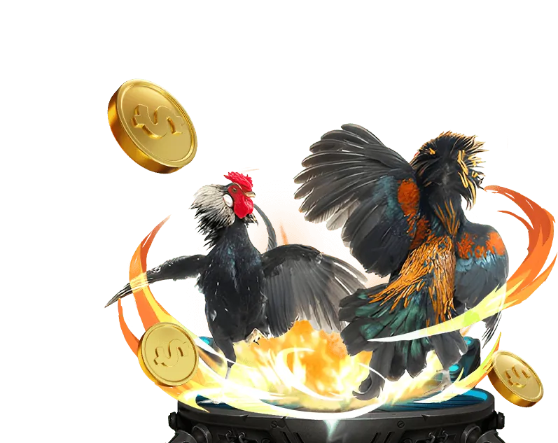 Cá cược thể thao 6ff1